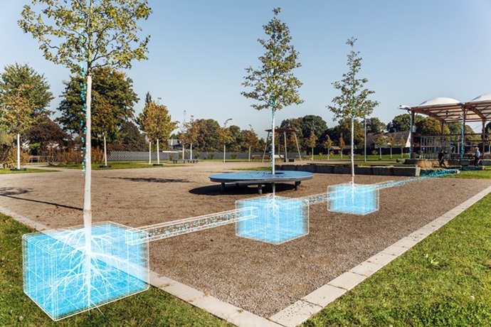 Grafik zu Baumrigolen: Unter einem Platz liegen unterirdische Speicherkästen, die über eine Leitung verbunden sind und Regenwasser an die Wurzeln junger Bäume abgeben